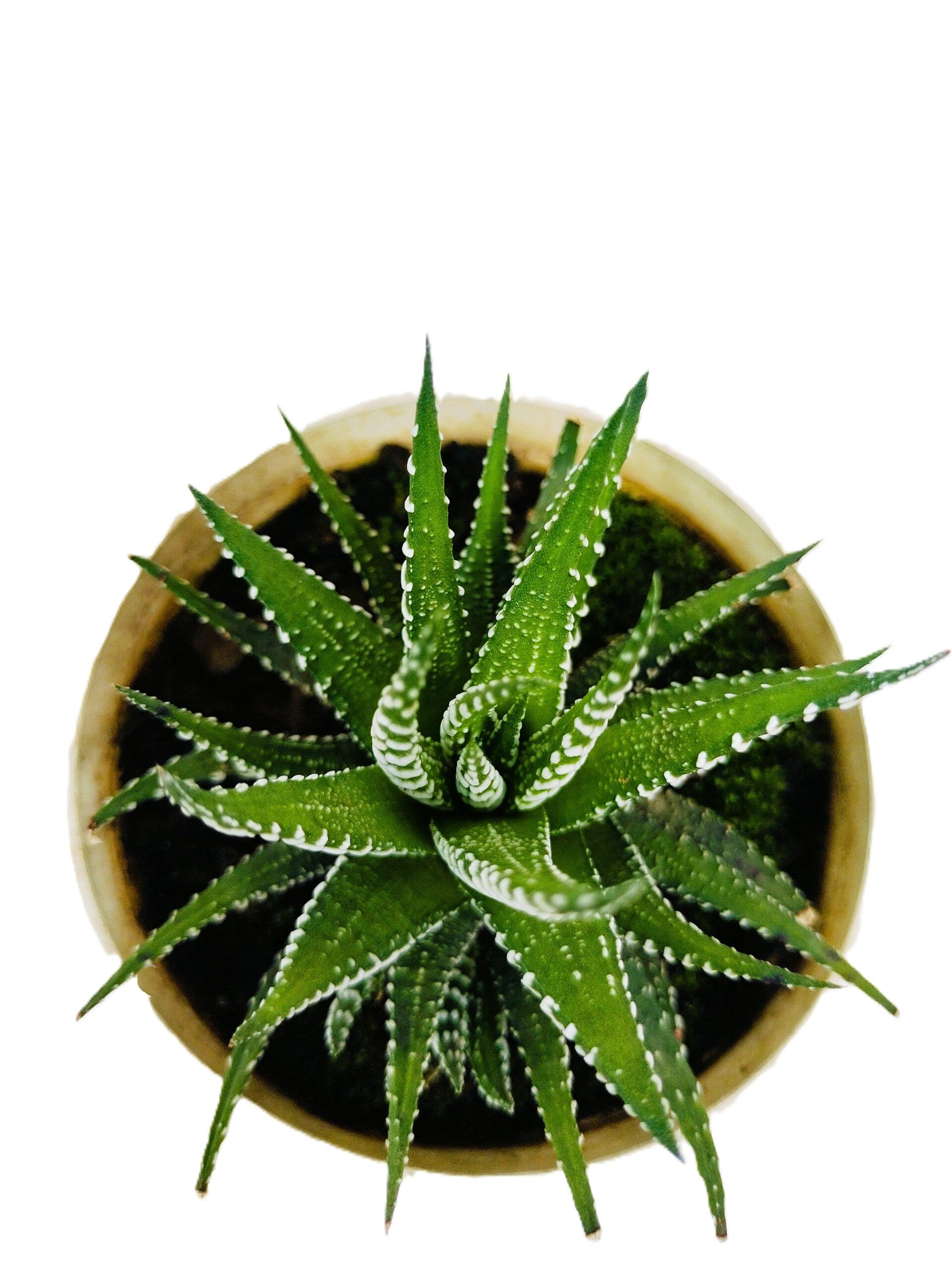 img20240710152512[1]